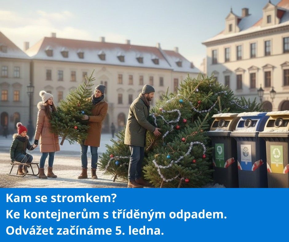 Svoz v&aacute;nočn&iacute;ch stromků