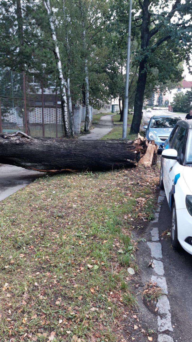 Páteční bouře